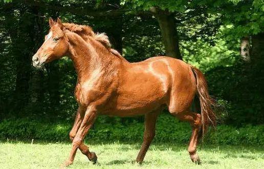 PP电子-2025 年 6 月生肖红榜!这三大生肖财运爆棚数钱数到手软